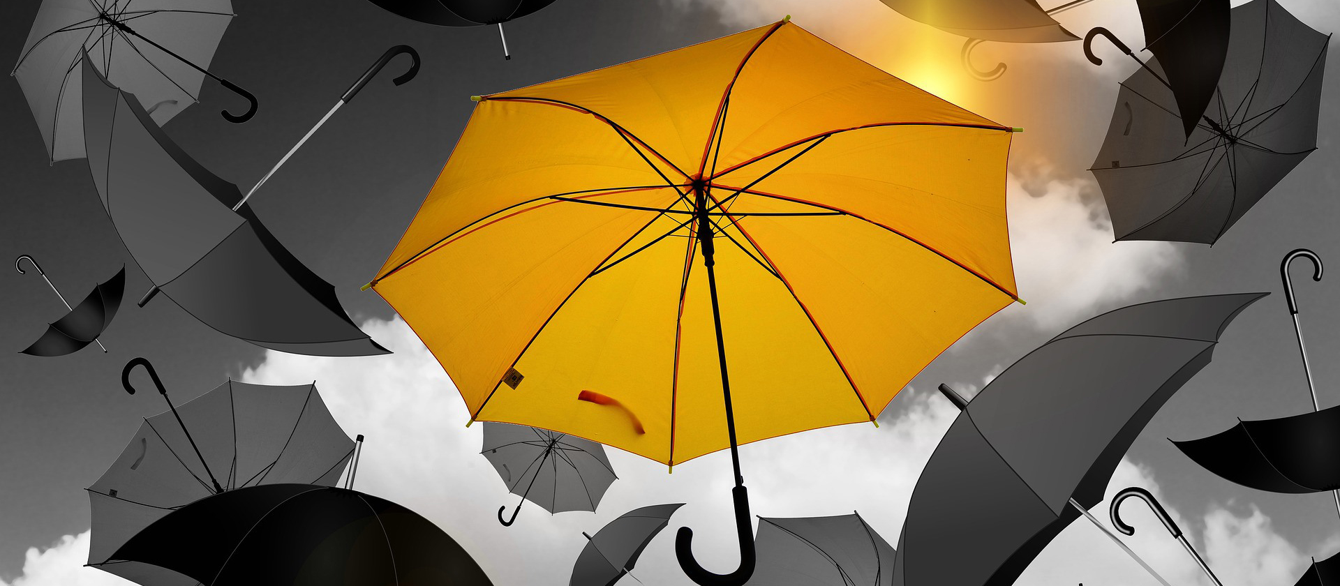 Terdapat Empat Bahan Utama Untuk Langkah Payung